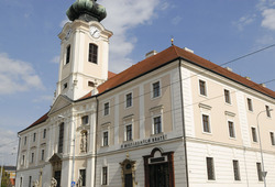 Nemocnice Milosrdných bratří Brno